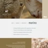 Kołdra 220x240 zimowa naturalna wełniana MERINO