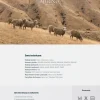 Kołdra 200x200 zimowa naturalna wełniana MERINO